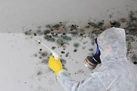 Best Mold Odor Removal Services  in Canal Fulton, OH